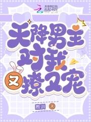 天降男主对我又撩又宠!